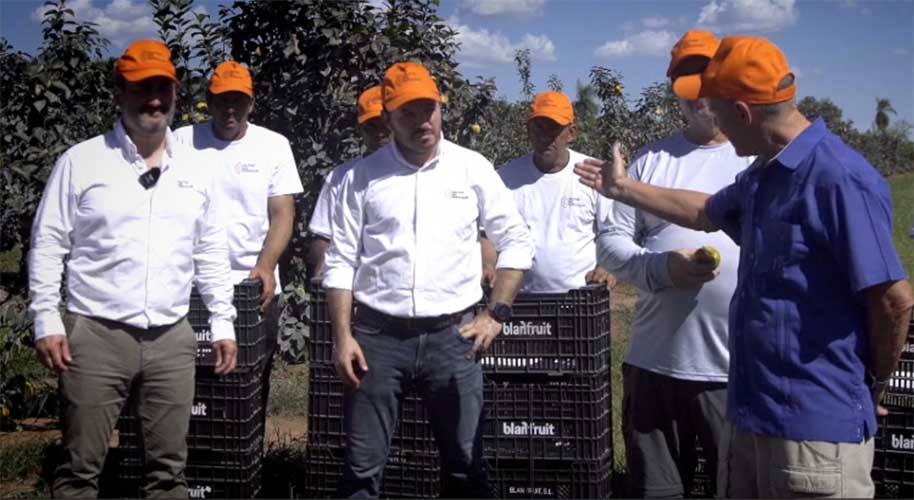 Frutas del Paraguay Team